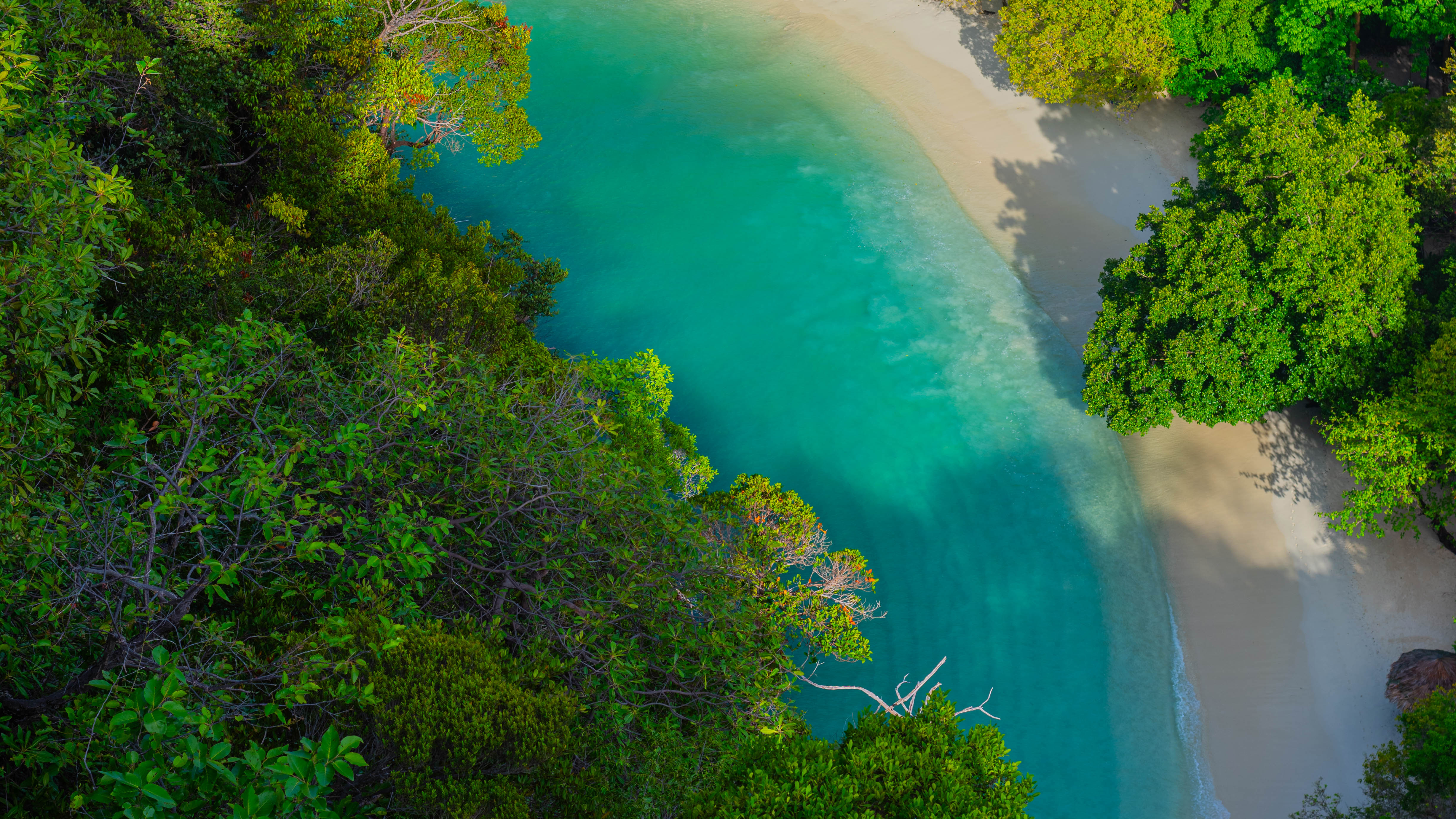 Tariy Travel