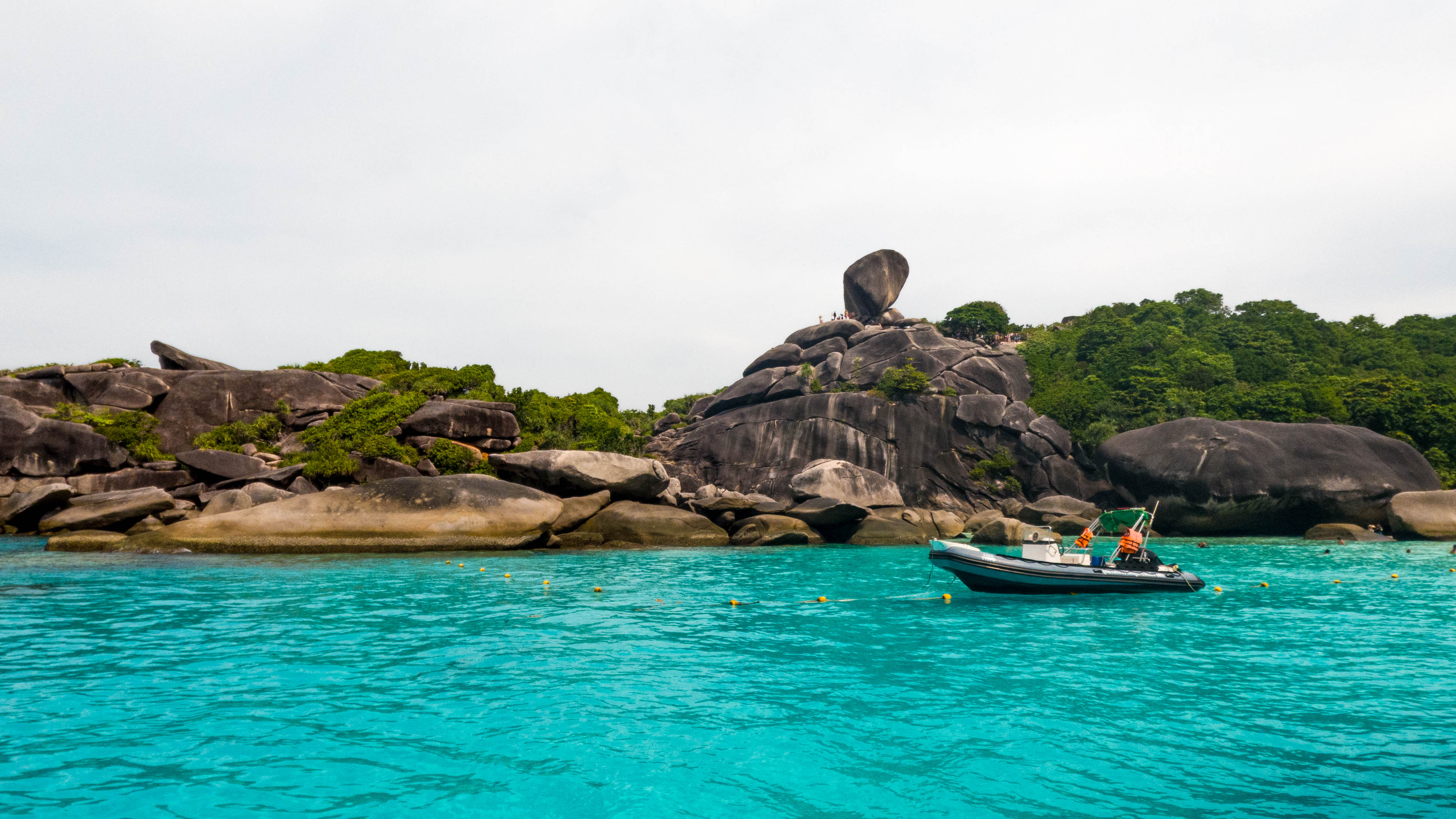 Tariy Travel
