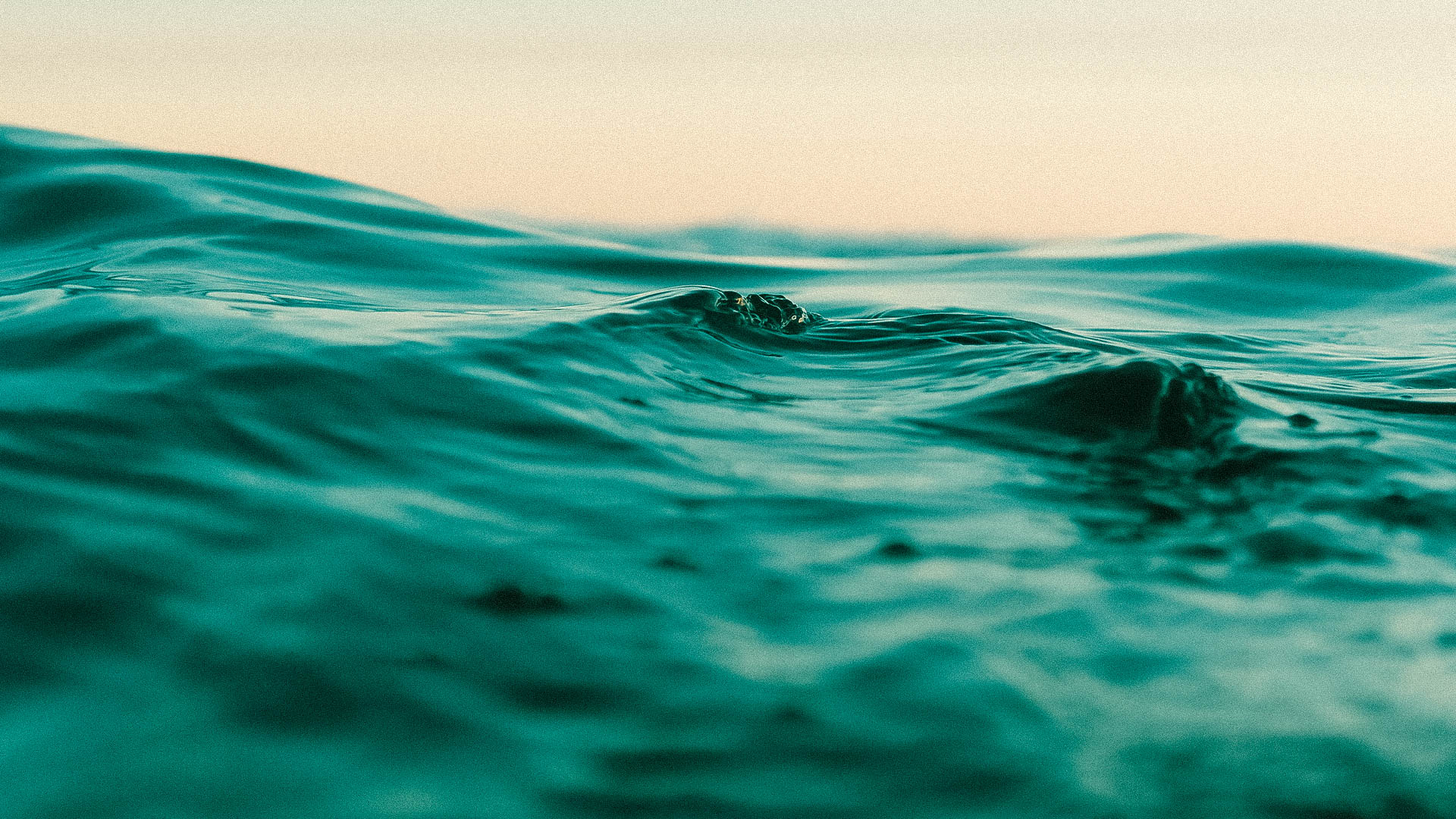 Sea